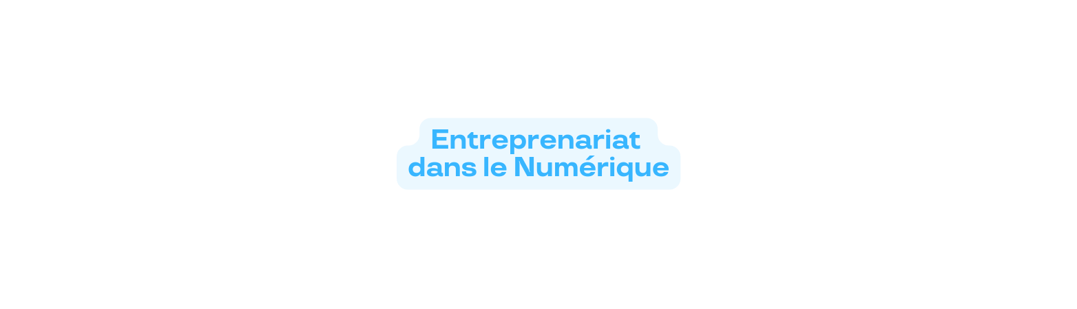 Entreprenariat dans le Numérique